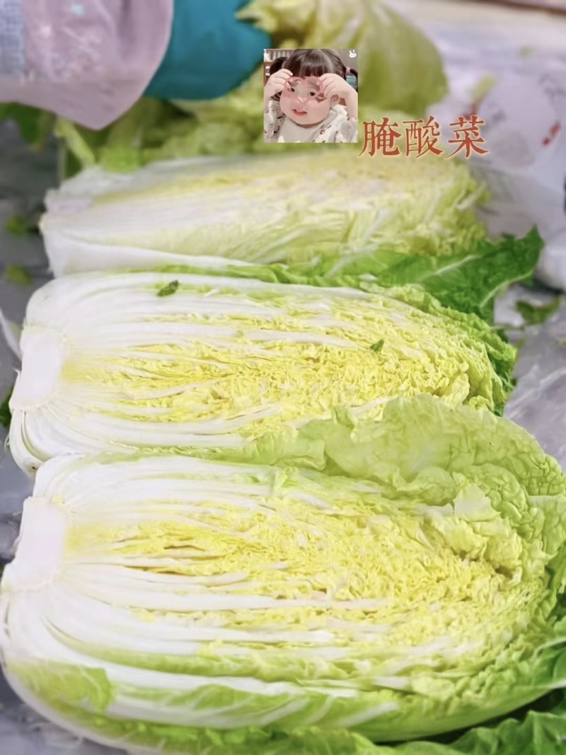 【推荐】江苏东台黄心大白菜，基地直销，量大从优。