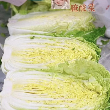 【极力推荐】精品黄心白菜，新鲜采摘，产地直发，物美价廉。