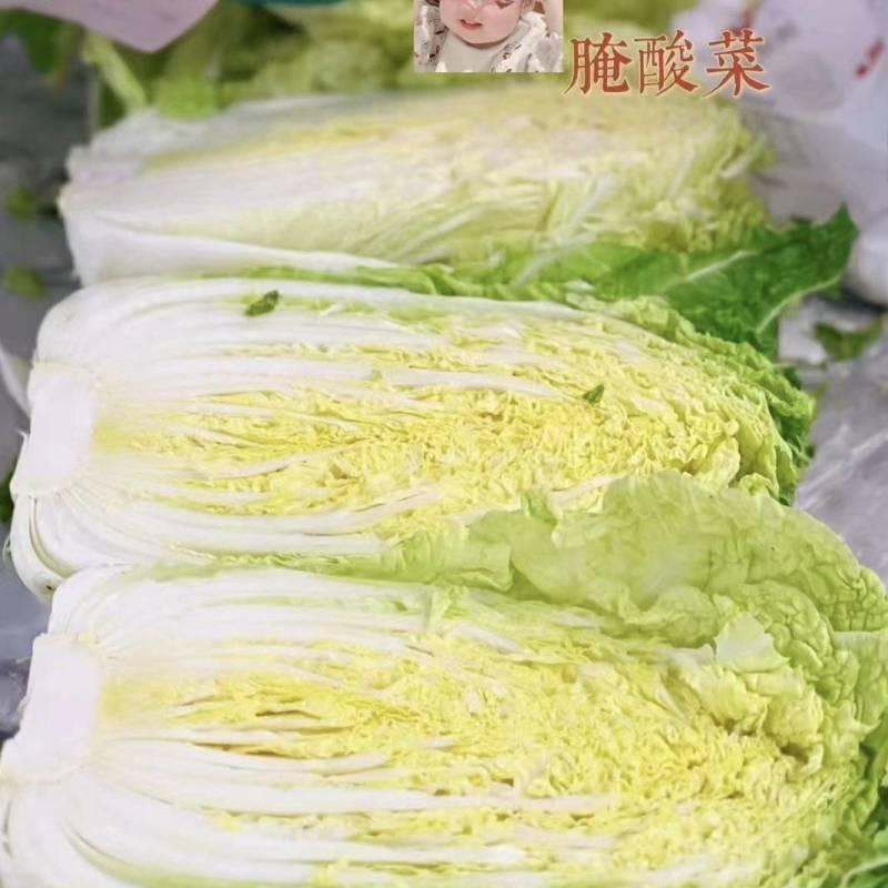 【极力推荐】精品黄心白菜，新鲜采摘，产地直发，物美价廉。