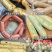 塑料肠衣，折径50，80