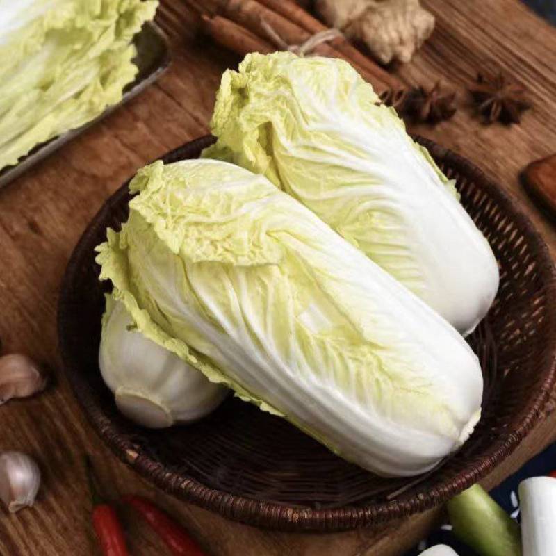 【实力推荐】江苏东台精品大娃娃菜，大量上市，欢迎老板选购