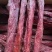 全熟猪里脊肉适合所有人群食用一件70斤麻辣五香一件批发