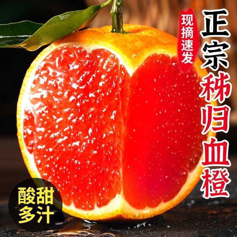 当季现摘秭归中华红血橙，电商一件代发，市场代办