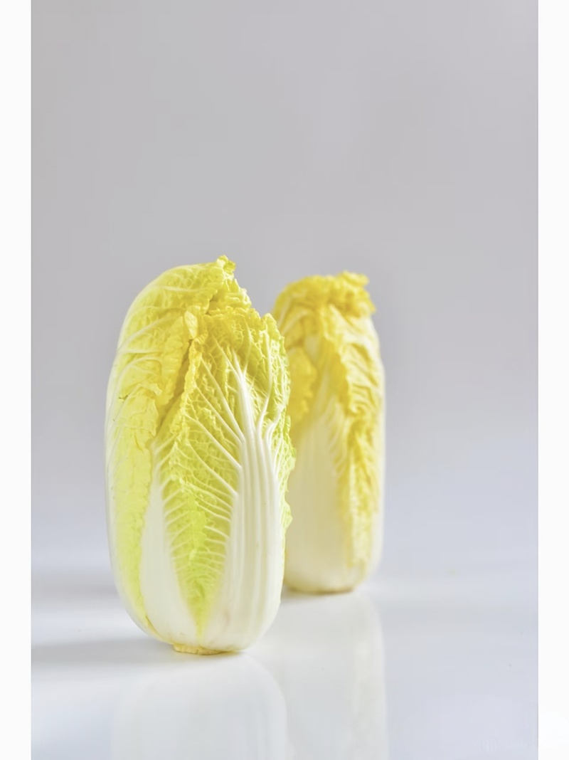 【实力推荐】精品娃娃菜，大小娃娃菜，大量上市。