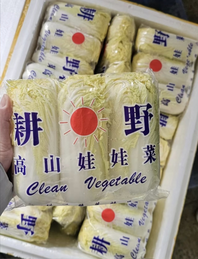 【实力推荐】精品娃娃菜，大小娃娃菜，大量上市。