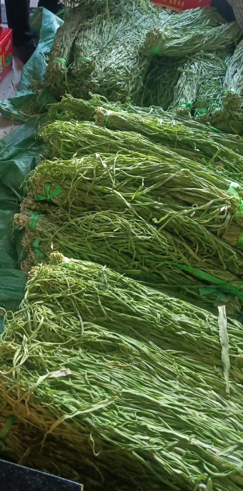 二级贡菜干