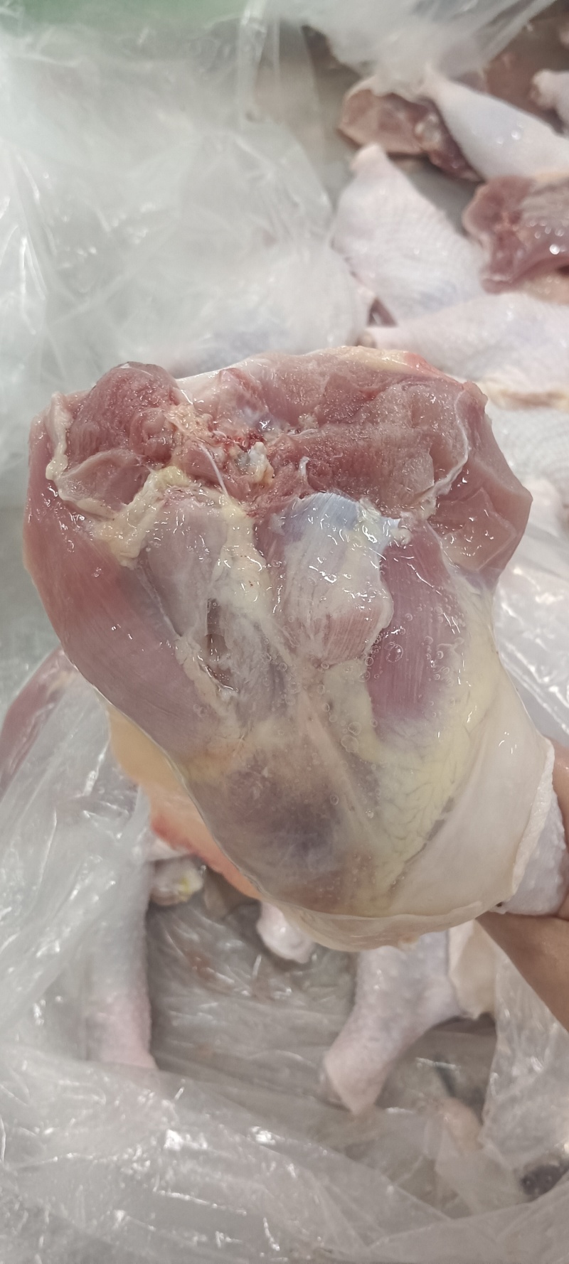 老鸡排腿