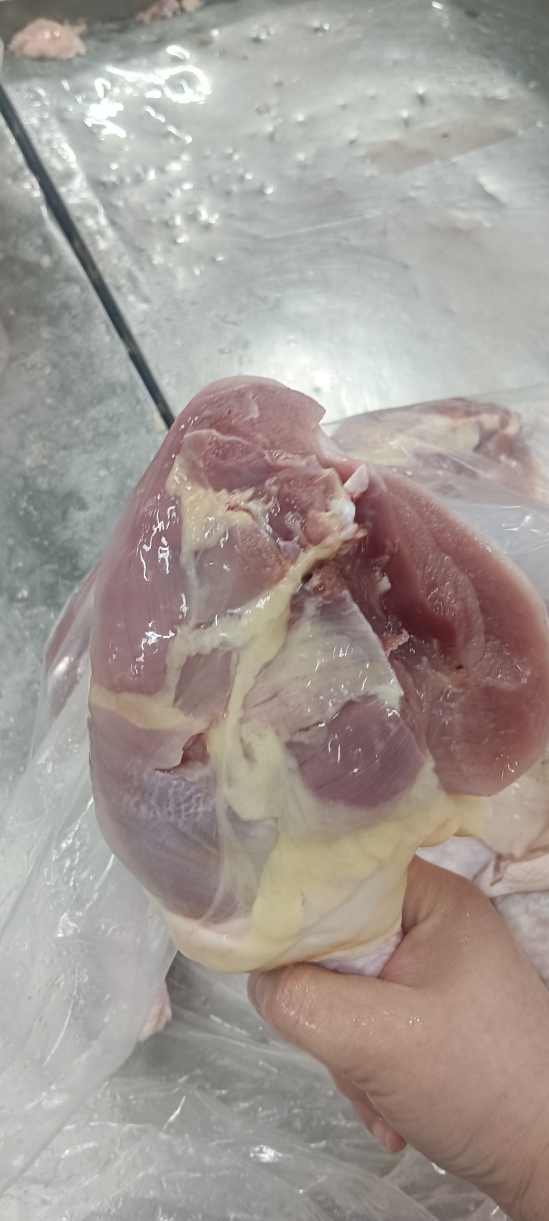老鸡排腿