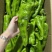 【实力推荐】精品辣椒上市，现摘现发，可视频看货