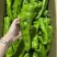 【实力推荐】精品辣椒上市，现摘现发，可视频看货