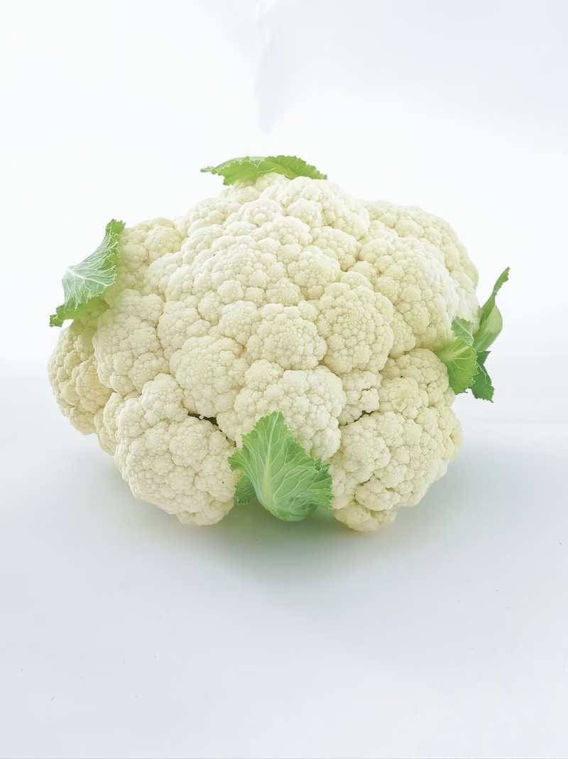 【实力推荐】精品花菜有机花菜大量上市，基地直销，支持视频