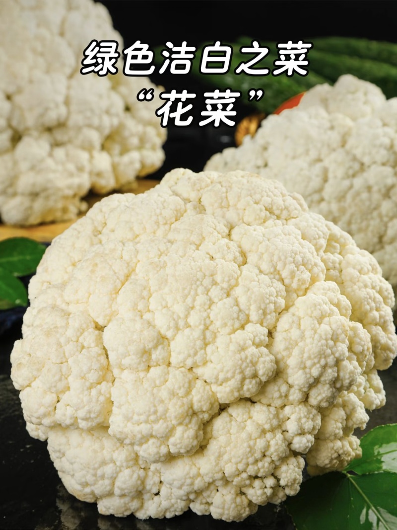 【实力推荐】精品花菜有机花菜大量上市，基地直销，支持视频