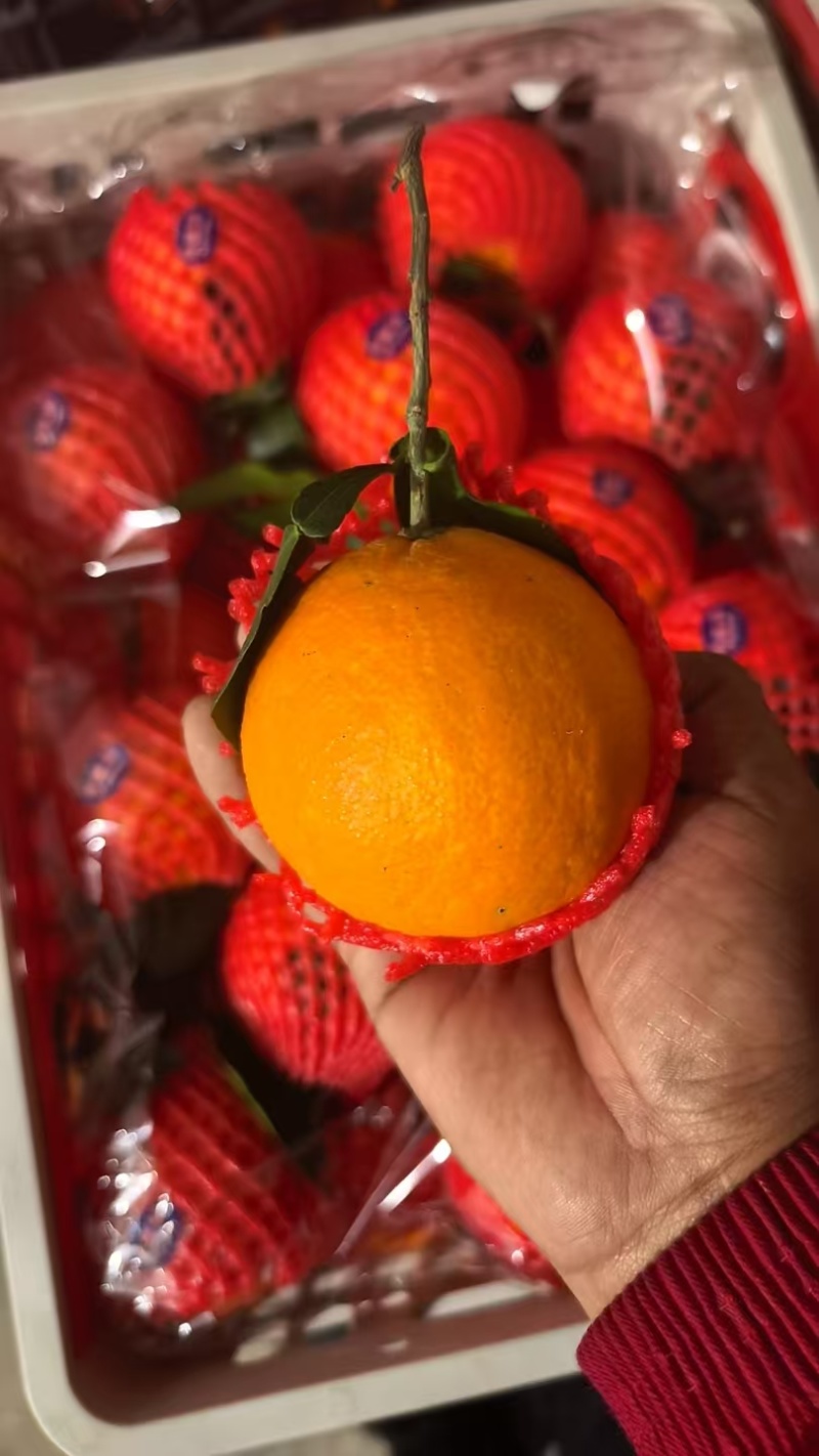 爱媛果冻橙，量大价优，保质保量，欢迎咨询