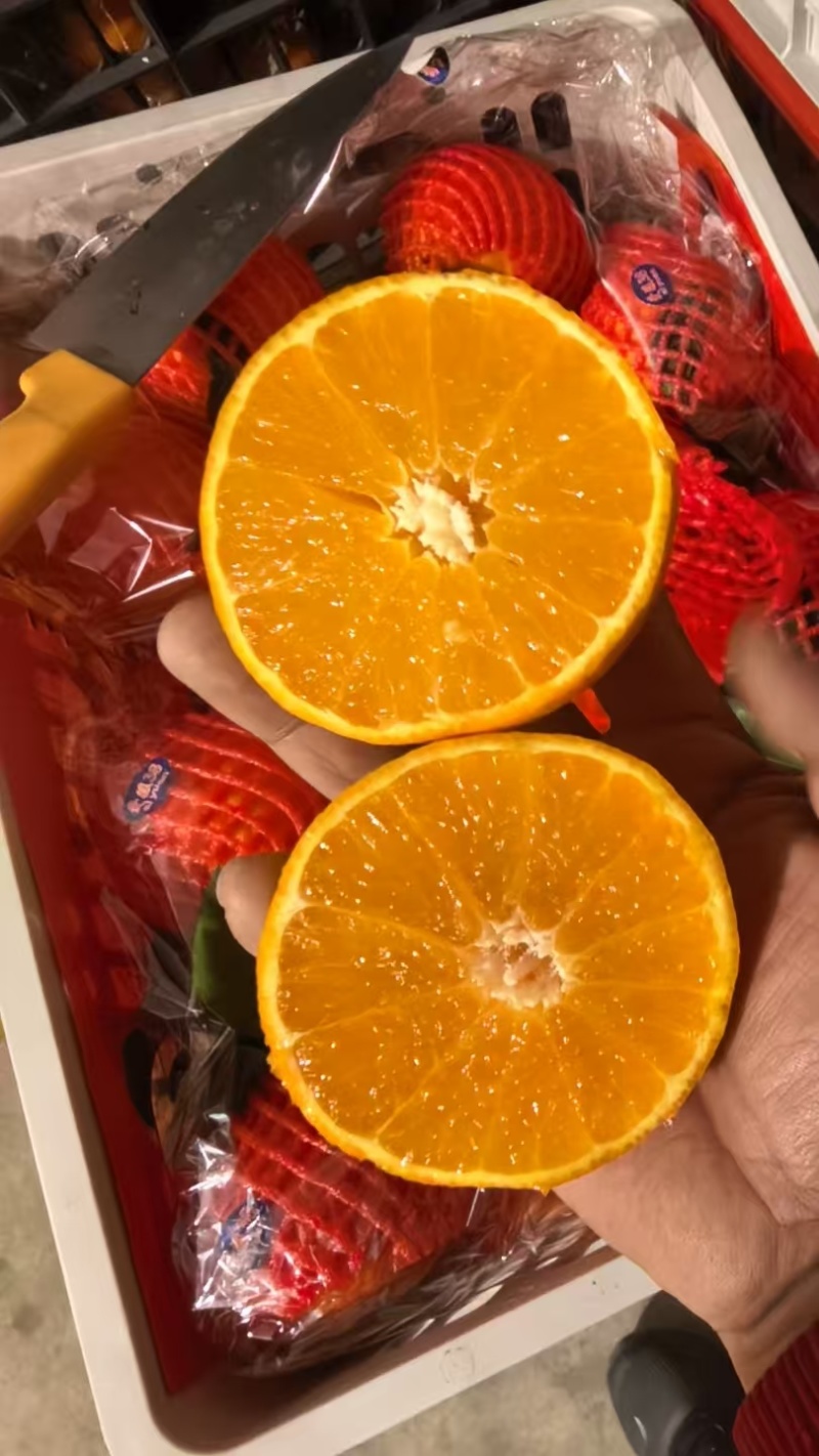 爱媛果冻橙，量大价优，保质保量，欢迎咨询