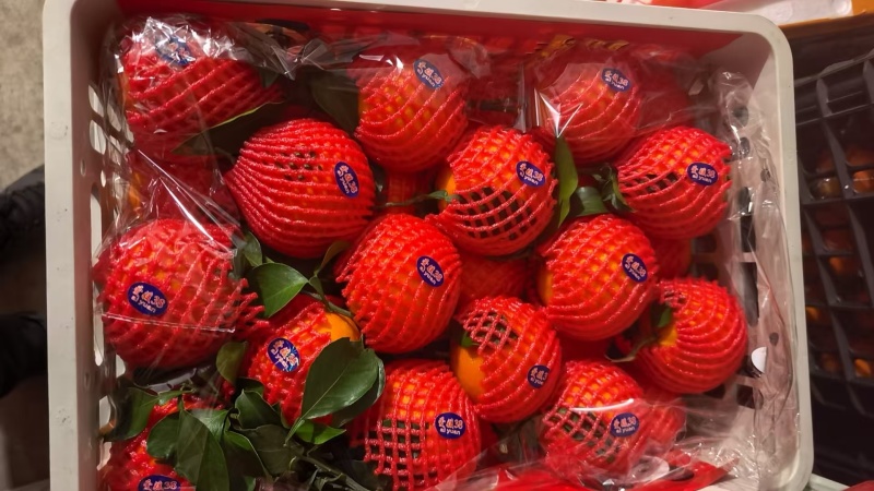 爱媛果冻橙，量大价优，保质保量，欢迎咨询