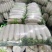 四川精品【白萝卜】出口品质/检测达标/对接商超及店商