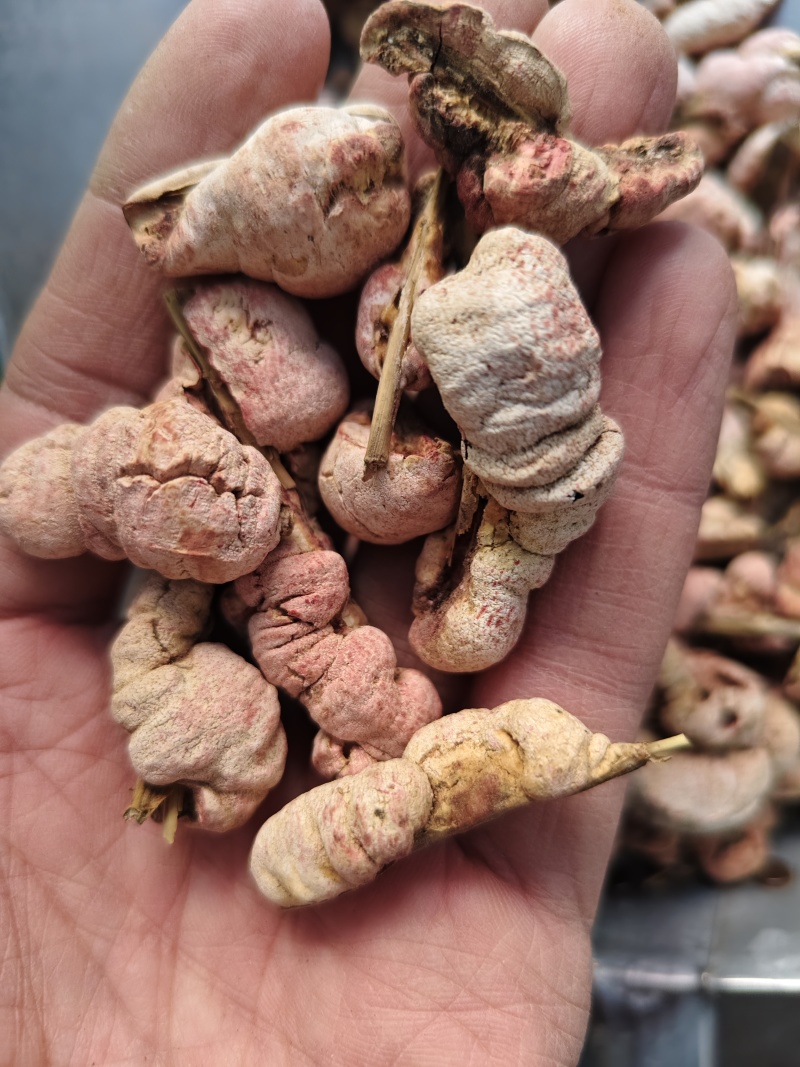 竹黄正品竹黄花批发零售量大从优