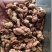 竹黄正品竹黄花批发零售量大从优