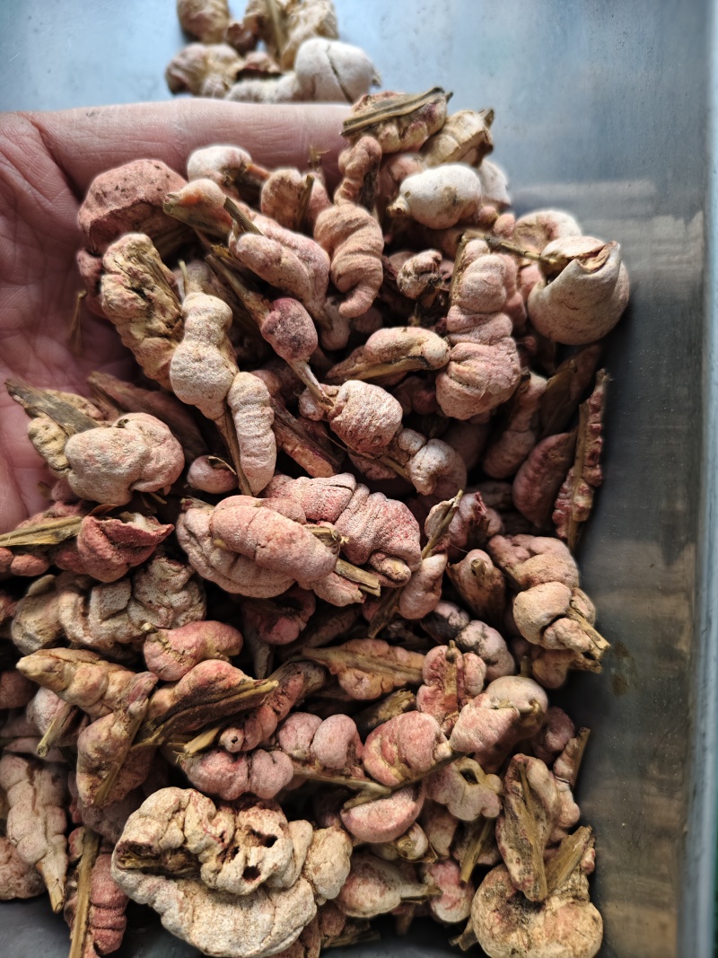 竹黄正品竹黄花批发零售量大从优