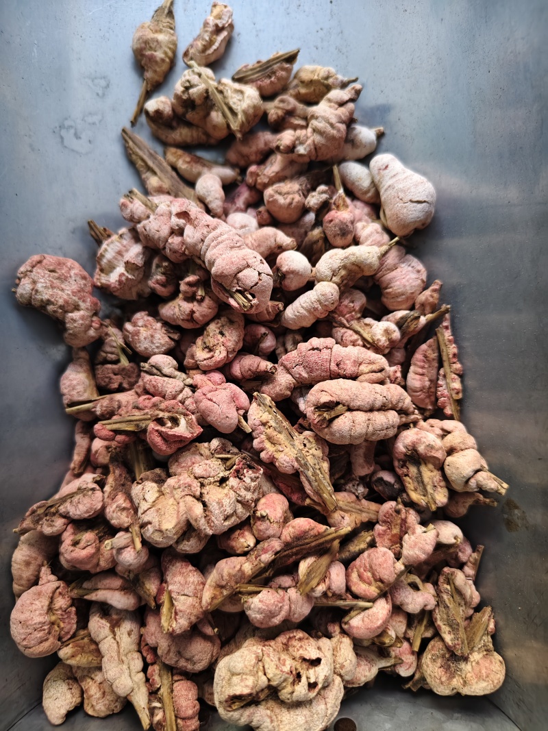 竹黄正品竹黄花批发零售量大从优