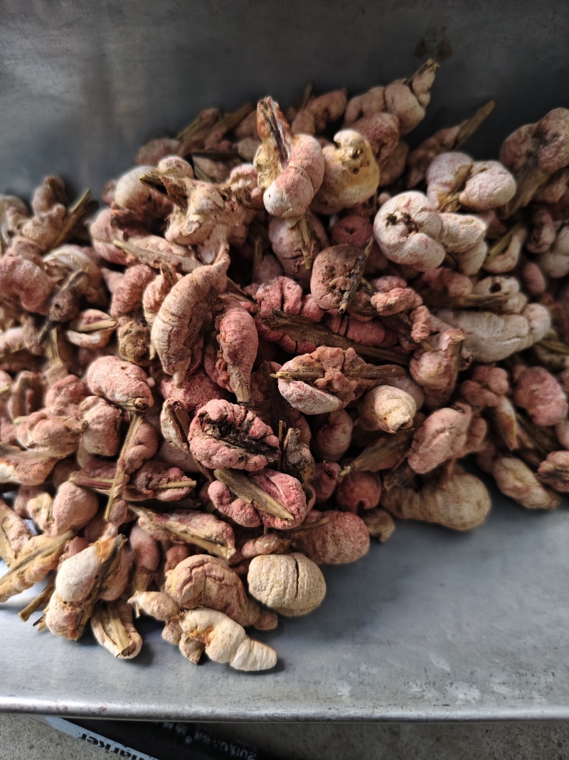 竹黄正品竹黄花批发零售量大从优