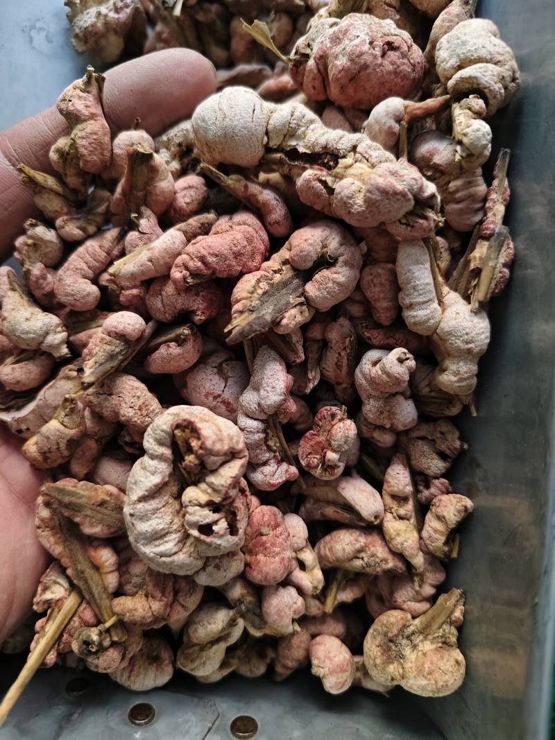 竹黄正品竹黄花批发零售量大从优