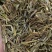香茅草香料批发香茅草量大从优