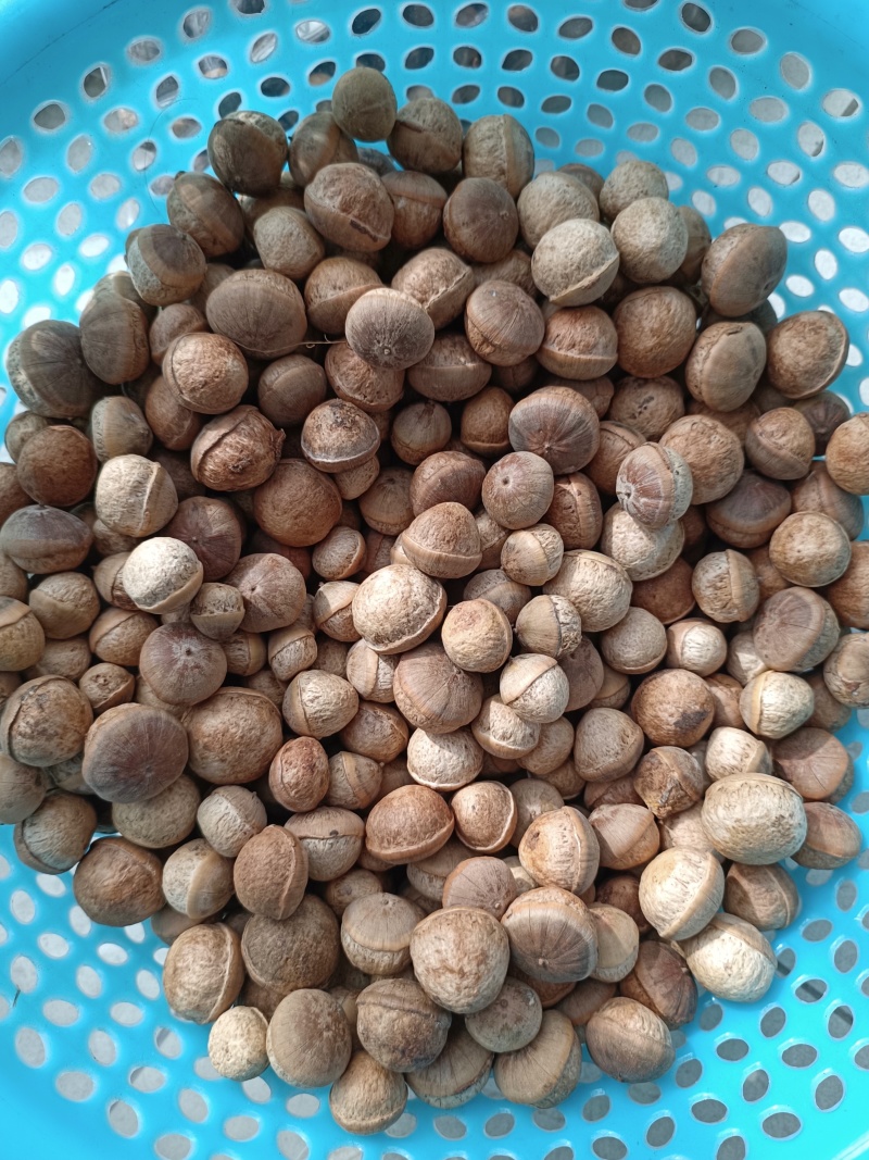 野生风流果，大量有货，供应电商超市地摊