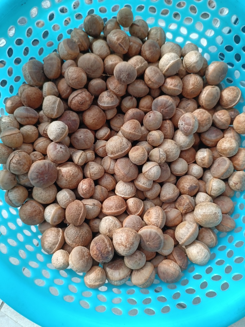 野生风流果，大量有货，供应电商超市地摊