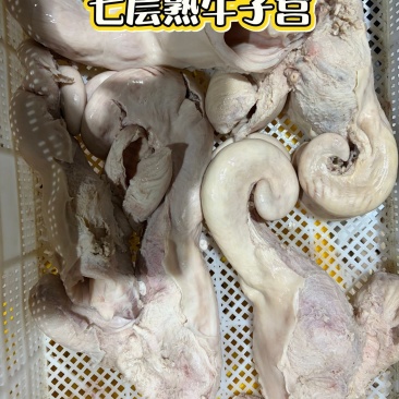 牛子宫