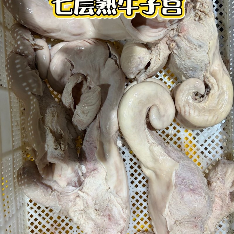 牛子宫