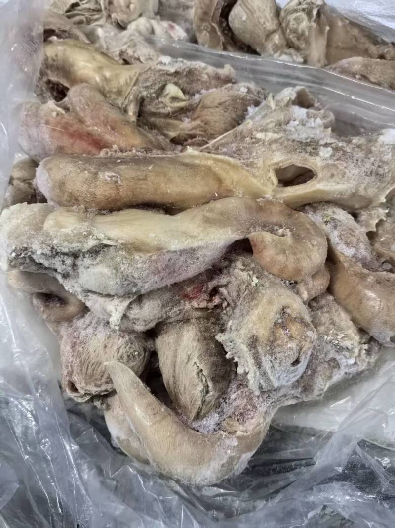 牛子宫