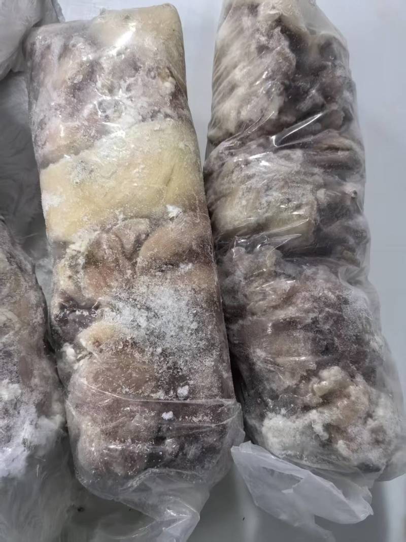 牛子宫