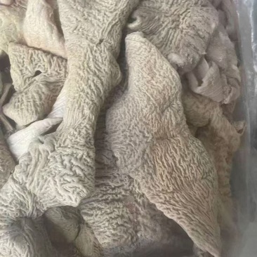 牛大肠