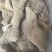 牛大肠