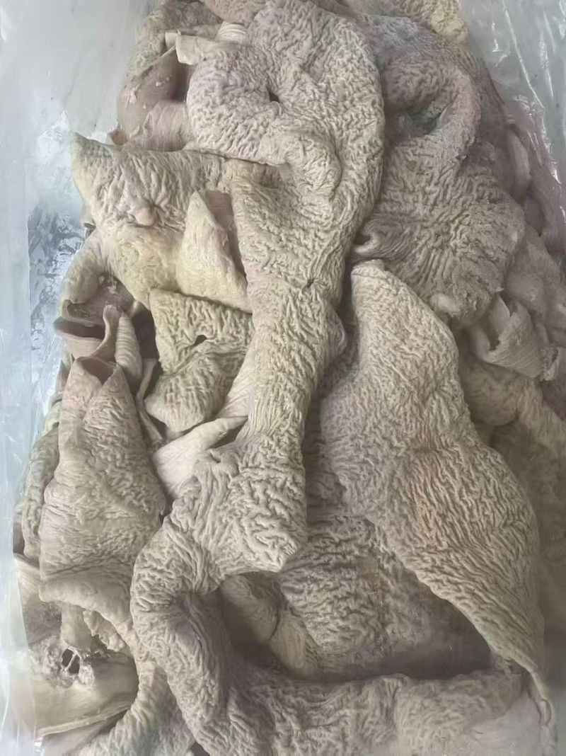 牛大肠