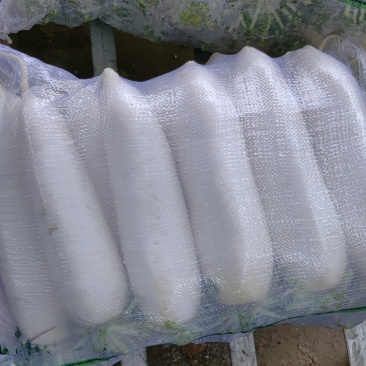 好好