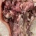 牛头肉