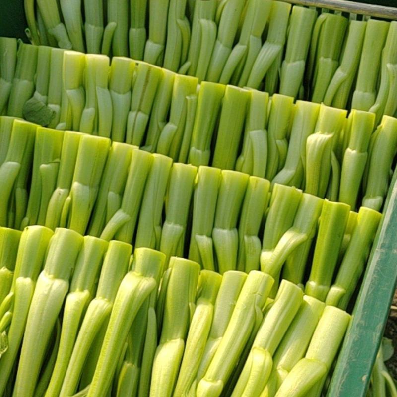 菜心