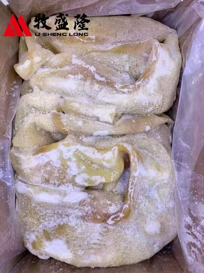 牧盛隆牛大肚