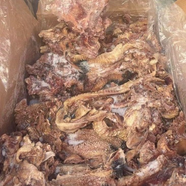 熟去皮牛头肉