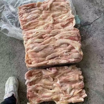 牛蹄筋