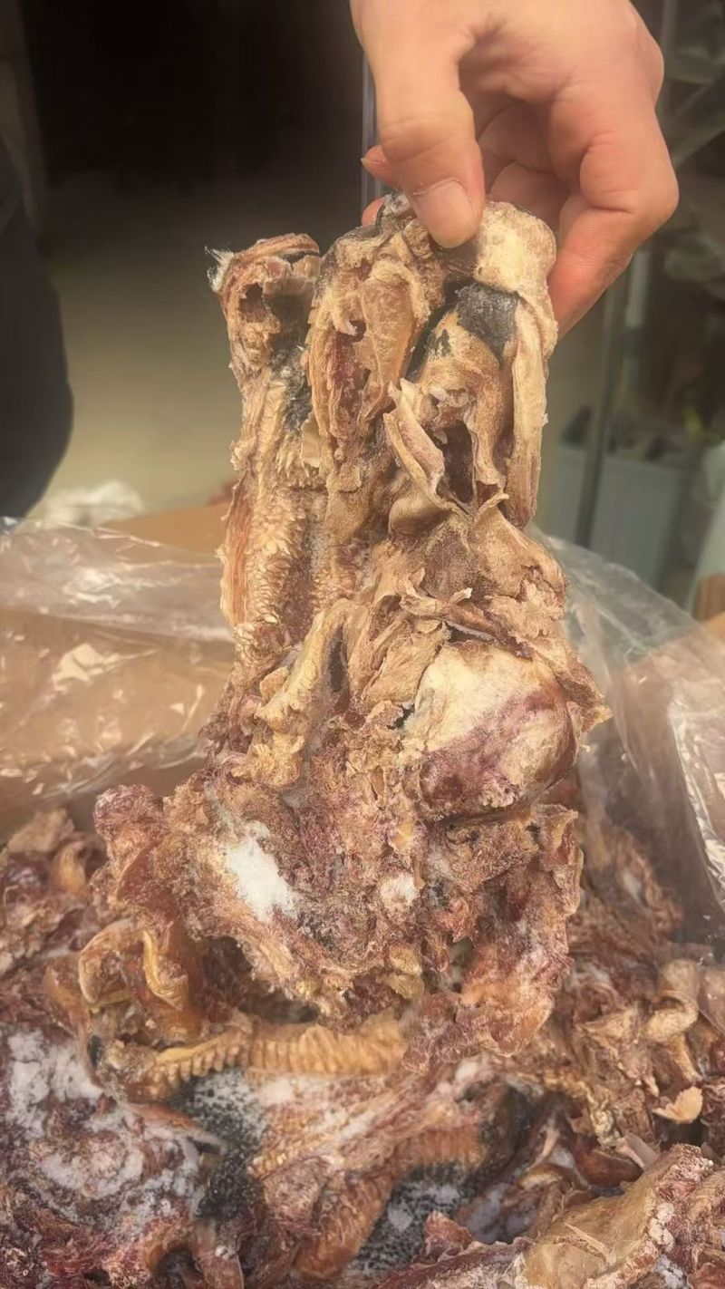 熟去皮牛头肉
