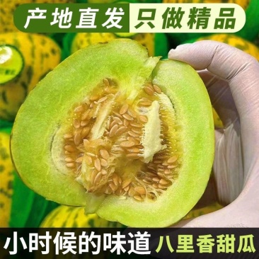 花皮甜瓜/.八里香甜瓜/产区直发/预售5月开卖