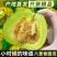 花皮甜瓜/.八里香甜瓜/产区直发/预售5月开卖