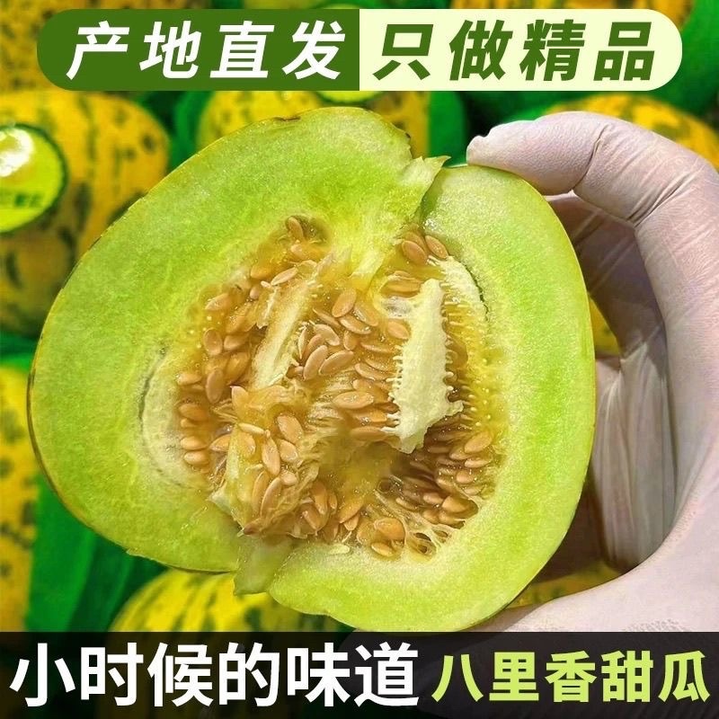 花皮甜瓜/.八里香甜瓜/产区直发/预售5月开卖