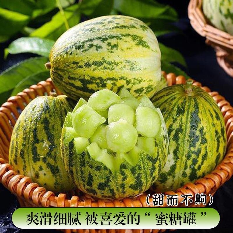 花皮甜瓜/.八里香甜瓜/产区直发/预售5月开卖