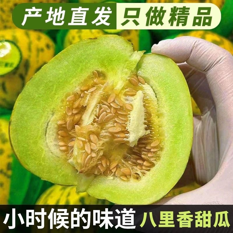 花皮甜瓜/.八里香甜瓜/产区直发/预售5月开卖