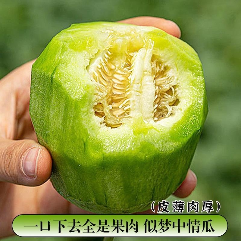 花皮甜瓜/.八里香甜瓜/产区直发/预售5月开卖