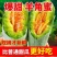 羊角蜜甜瓜/河北产区直发/5月开售/欢迎预定
